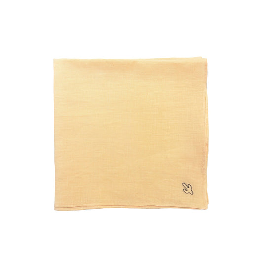 Handkerchief / Bandana