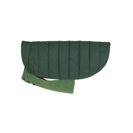 Beetle Dog Coat